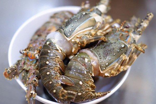 3 lợi ích tuyệt vời khi giải cứu tôm hùm nhưng tuân thủ điều này để không tự hại mình-2
