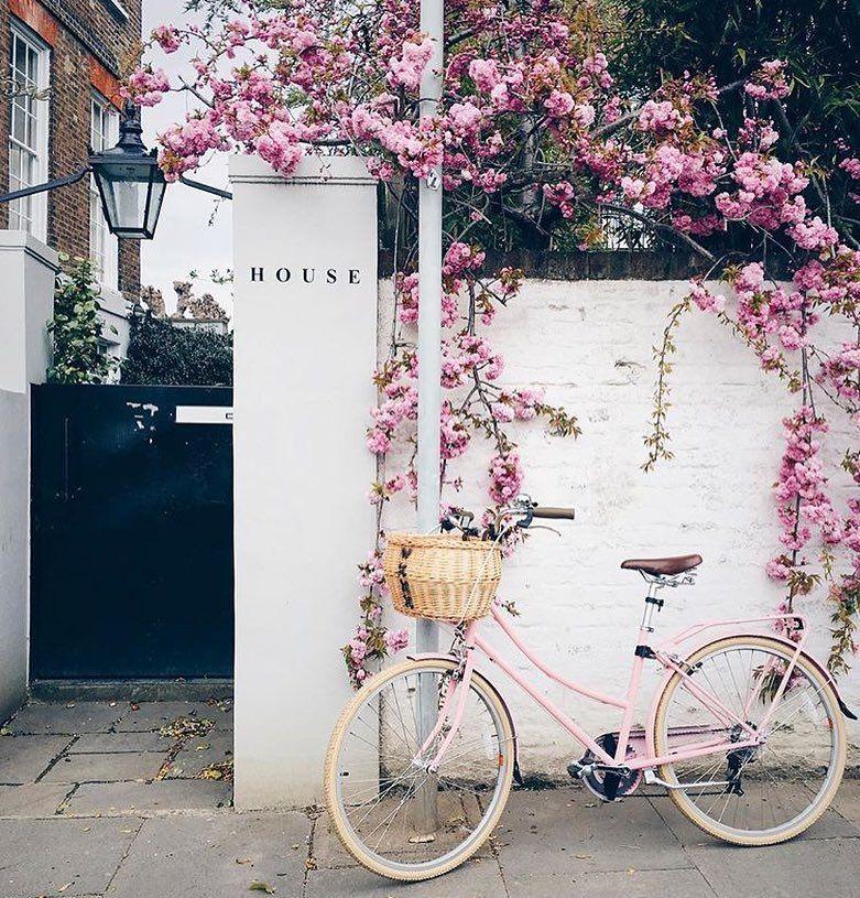 Tử vi Chủ Nhật ngày 23/2/2020 của 12 con giáp: Tý gặt hái nhiều thành công, Mão cẩn thận trong giao tiếp-2