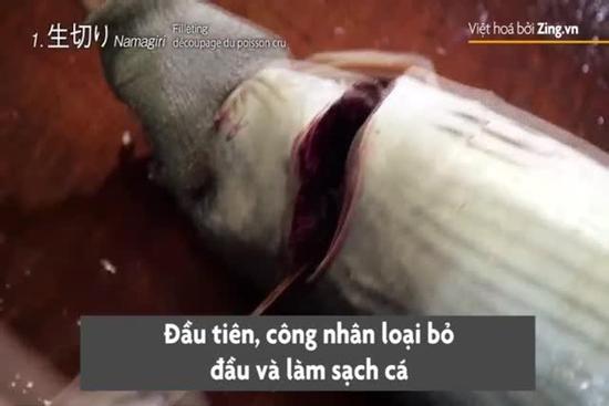 Hơn 200 ngày làm món cá ngừ cứng nhất thế giới