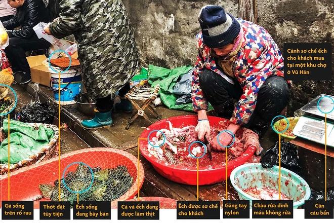 Chuyên gia Trung Quốc tiết lộ mới về nguồn gốc lây nhiễm virus corona-1