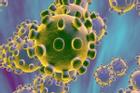 Chuyên gia Trung Quốc tiết lộ mới về nguồn gốc lây nhiễm virus corona