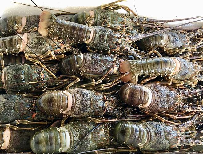 Một số món ngon làm từ tôm hùm mà bạn không nên bỏ qua-2