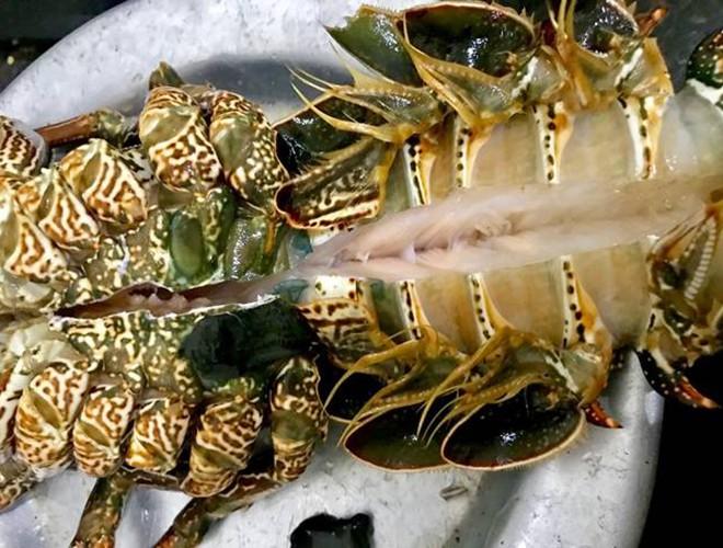 Một số món ngon làm từ tôm hùm mà bạn không nên bỏ qua-6