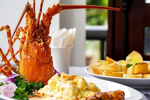 Giá tôm hùm rẻ hơn thời ‘giải cứu’-2