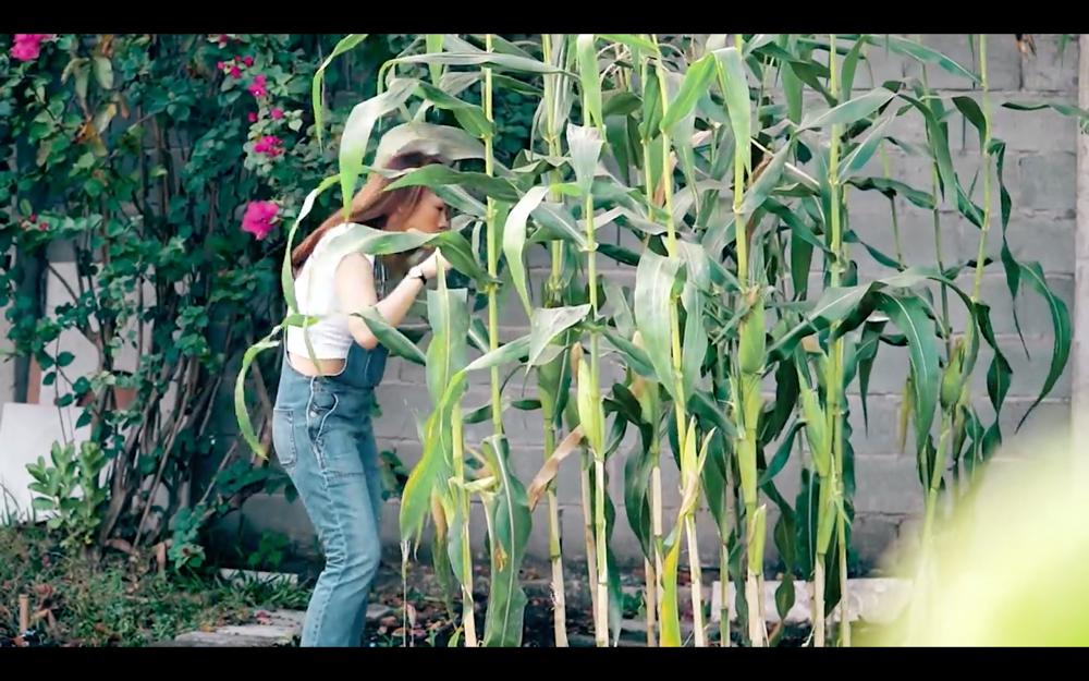 Mỹ Tâm ra MV trổ tài nướng bắp, diễn sâu thế vẫn bị fan soi ra chi tiết lạ lùng!-2