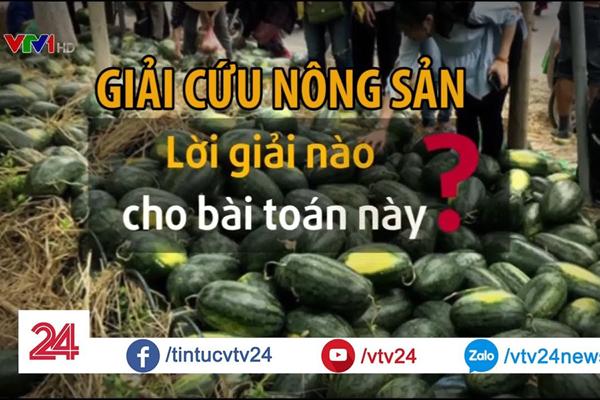 Muôn màu cách giải cứu nông sản của 12 chòm sao-1