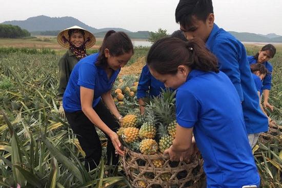 Muôn màu cách giải cứu nông sản của 12 chòm sao