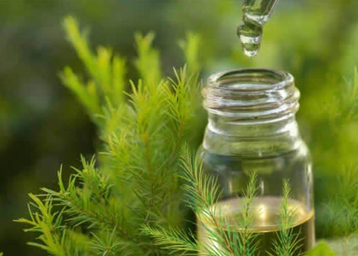 Trước khi cầu cứu chỗ bắn mụn thịt, Hòa Minzy nên thử loạt bí quyết tại nhà-8