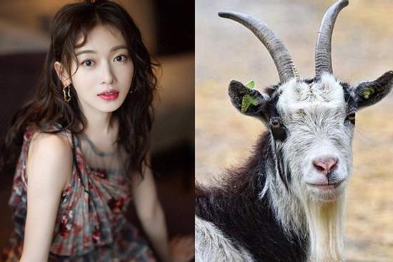 3 con giáp được sếp yêu mến, cất nhắc thăng quan tiến chức trong năm 2020, tiền bạc dồi dào