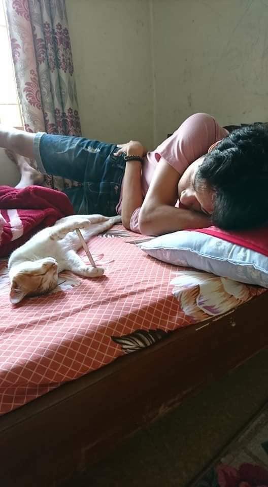 Từ quàng thượng hạ mình xuống vai hầu, chú mèo ngoan ngoãn dùng 2 tay giữ chặt điện thoại cho cậu chủ nằm xem phim-3