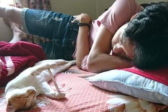 Từ 'quàng thượng' hạ mình xuống vai hầu, chú mèo ngoan ngoãn dùng 2 tay giữ chặt điện thoại cho cậu chủ nằm xem phim