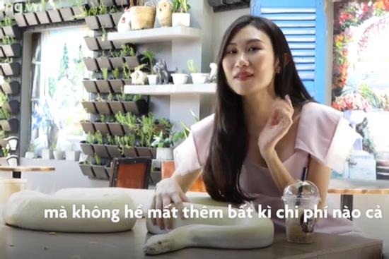 Quán cà phê cho khách chơi cùng cá sấu, rắn, rết ở TP.HCM