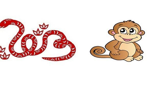 6 cặp con giáp nếu kết hợp, tài lộc tự động tìm đến, sự nghiệp thuận lợi hanh thông-2