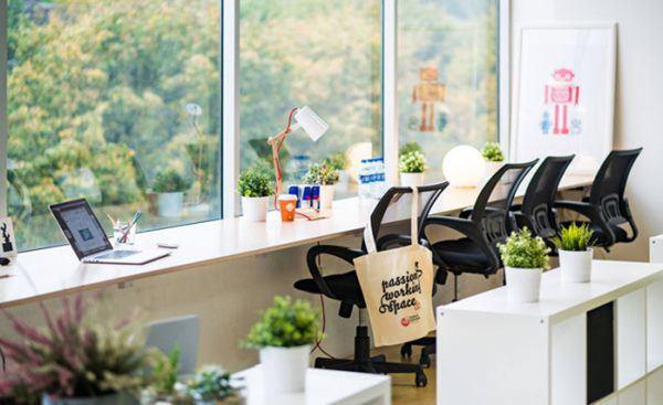 Không chỉ để trang trí, đặt cây cảnh trên bàn làm việc còn có những lợi ích tuyệt vời này-4