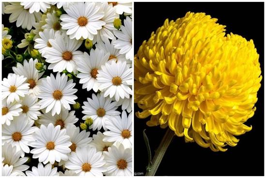 Sinh trúng tháng này khác nào 'chuột sa chĩnh gạo', giàu sang cả đời