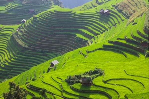 Cô nàng xứ Huế thăm miền sơn cước Mù Cang Chải cho thoả nỗi mong chờ suốt 2 năm-11