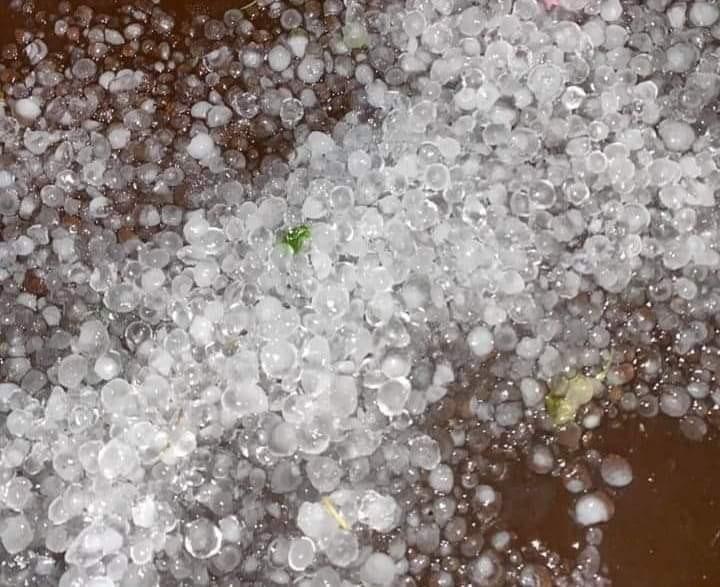 Yên Bái: Mưa đá bất ngờ gây thiệt hại nặng nề-6