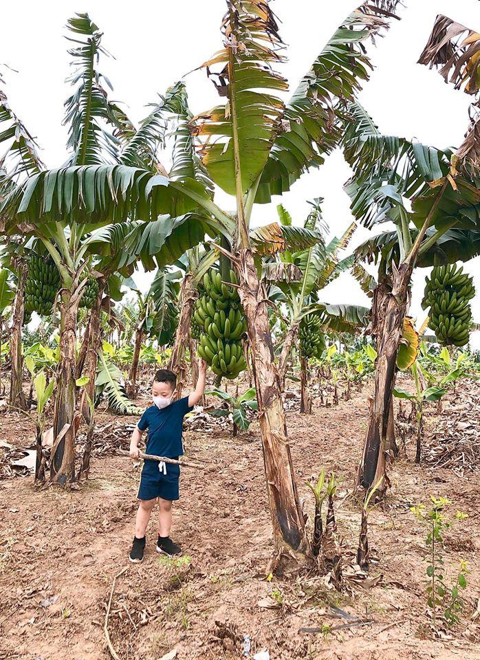 Con trai sắp tròn 4 tuổi, single mom Ly Kute liền cùng quý tử làm điều ý nghĩa-2