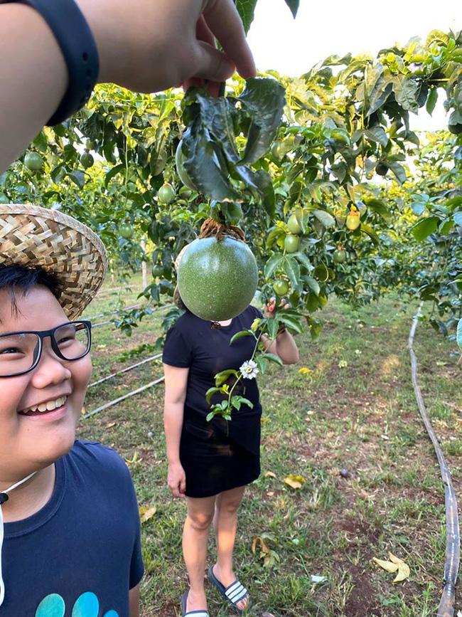 Nhờ con trai chụp ảnh sống ảo, bà mẹ giận tím mặt khi nhìn thành quả-1