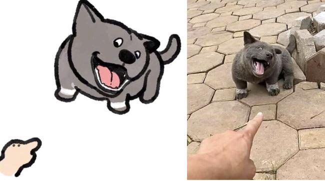 Chú chó nổi tiếng khắp cõi mạng Nguyễn Văn Dúi được fan quốc tế vẽ hình chibi cực yêu-3