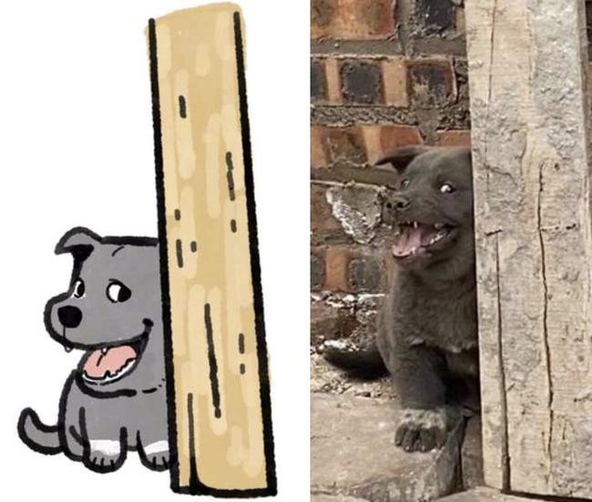 Chú chó nổi tiếng khắp cõi mạng Nguyễn Văn Dúi được fan quốc tế vẽ hình chibi cực yêu-4