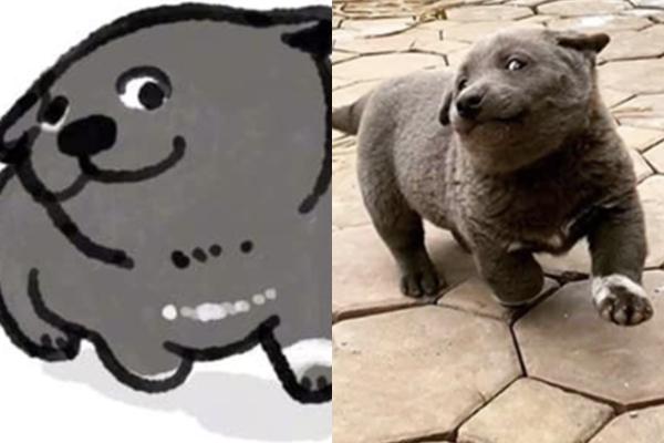 Lộ diện bảo mẫu cực xịn của chú chó hot nhất mạng xã hội Nguyễn Văn Dúi-4