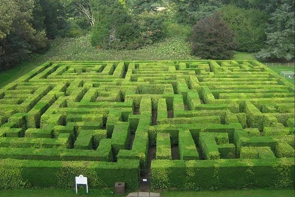 Thử tài tinh mắt: Có mấy con vật trong bức tranh, mất bao lâu để bạn tìm ra?-9