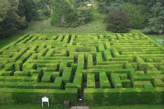 Trắc nghiệm Kokology: Mê cung bí hiểm tiết lộ tính cách con người bạn