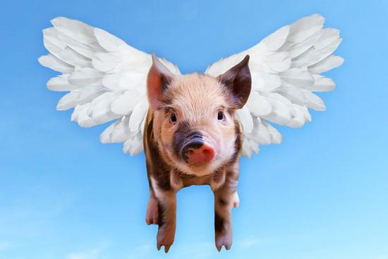 Cuối tuần, cát tinh chiếu rọi, thần tài gọi tên 3 con giáp có tên sau, 'tiền chất đầy nhà'