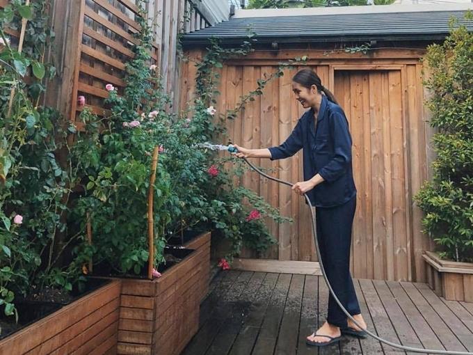 Tăng Thanh Hà thu hoạch trái cây trong vườn nhà-1