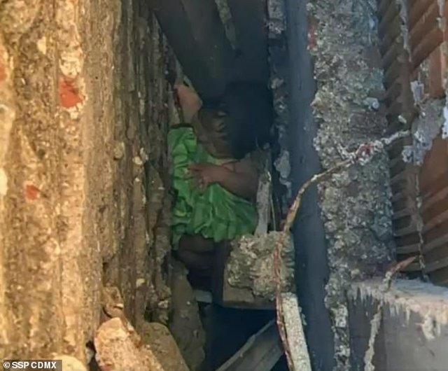 Nghe tiếng động lạ trong nhà, người phụ nữ tá hỏa khi phát hiện sự thật đau lòng-1