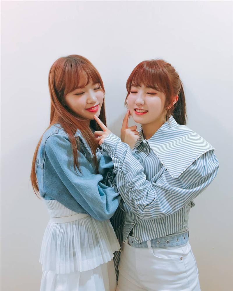 Tử vi thứ Bảy ngày 7/3/2020 của 12 con giáp: Mùi quá tải vì công việc, Tuất có cơ hội đầu tư-3