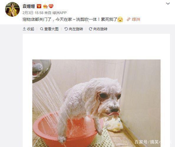 Những hoạt động hài hước của sao Hoa ngữ khi phải ở nhà vì dịch Covid-19-15