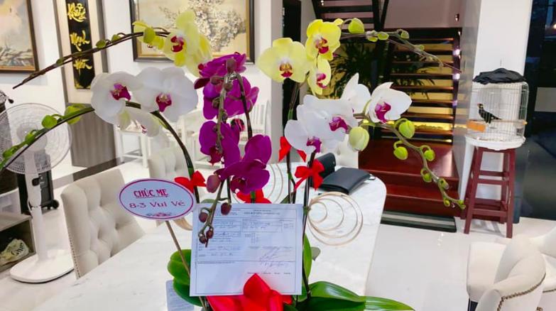 Quốc Trường tặng mẹ 3 tỷ ngày 8/3-1