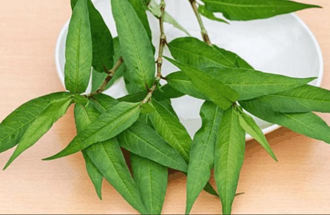 Những món ăn quý ông tránh cho xa kẻo toang hết cuộc yêu-1