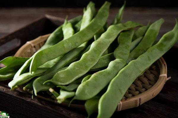 Bé 4 tuổi ngộ độc sau khi ăn bầu xào bị đắng, 3 loại rau bị đắng cần vứt bỏ-4