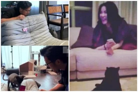 Tạ Đình Phong bị hen suyễn vẫn nuôi mèo vì Vương Phi