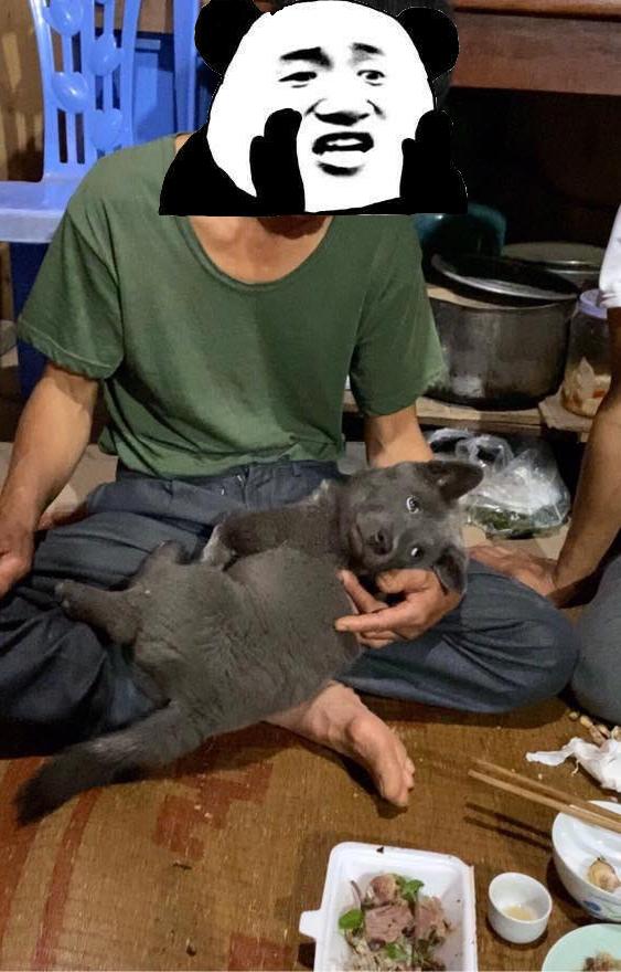 Lộ diện bảo mẫu cực xịn của chú chó hot nhất mạng xã hội Nguyễn Văn Dúi-3