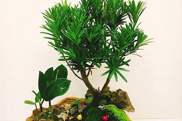 Nhận dạng tướng mặt của người nặng về tính toán, thích tranh đấu thủ đoạn-4