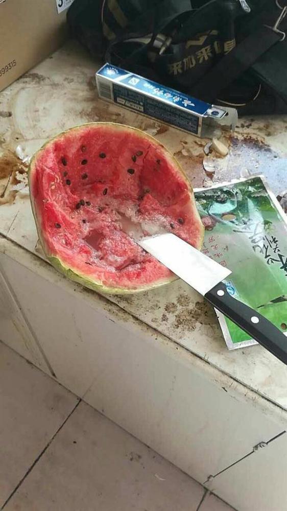 Thảm cảnh bạn cùng phòng ở bẩn đã lên một level mới, dân tình khuyên nên ra bãi rác luôn cho đỡ tốn tiền thuê phòng-4