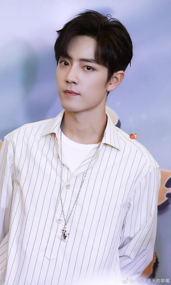 Tiêu Chiến, Triệu Lệ Dĩnh và những ngôi sao Hoa ngữ càng bị ném đá càng nổi như cồn-2