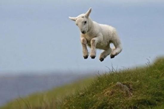 Khẳng định đẳng cấp, 3 con giáp 'mặc kệ khó khăn' ngồi ở nhà cũng ra tiền trong 7 ngày tới