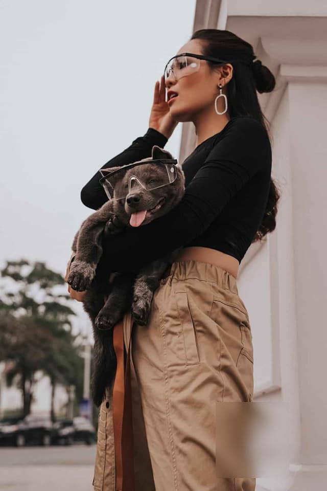 Hình ảnh mới nhất về chú chó Nguyễn Văn Dúi: Làm mẫu ảnh thời trang kiêm đại sứ rau củ-5