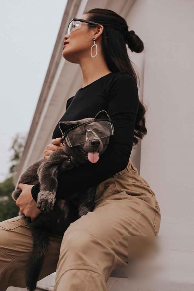 Hình ảnh mới nhất về chú chó Nguyễn Văn Dúi: Làm mẫu ảnh thời trang kiêm đại sứ rau củ-7