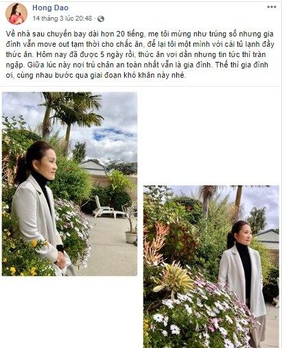 Nghệ sĩ Hồng Đào tự cách ly tại Mỹ, tiết lộ gia đình đã rời đi, chỉ gọi điện và tiếp tế thức ăn-1
