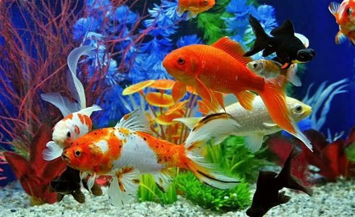 Buổi sáng, thấy 5 dấu hiệu sau chứng tỏ xui xẻo đang rình rập bạn, cẩn thận rước họa vào thân-3