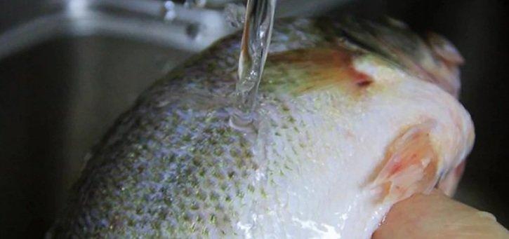 Chỉ cần nhớ 3 điều khi chế biến thì hấp cá kiểu nào cũng chẳng sợ bị tanh-1