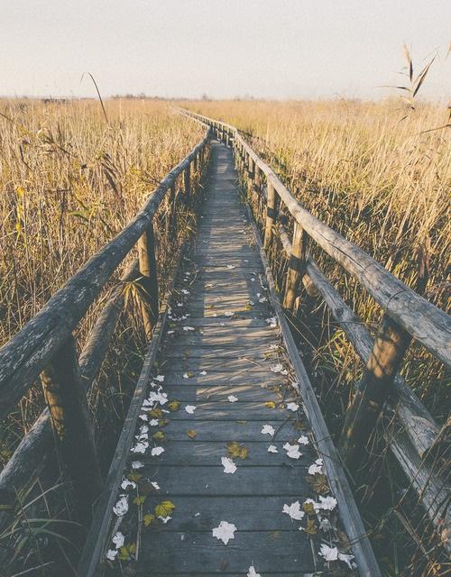 Tử vi thứ Tư ngày 18/3/2020 của 12 con giáp: Tỵ cẩn trọng lời ăn tiếng nói, Thân ghen tuông chuyện tình cảm-2