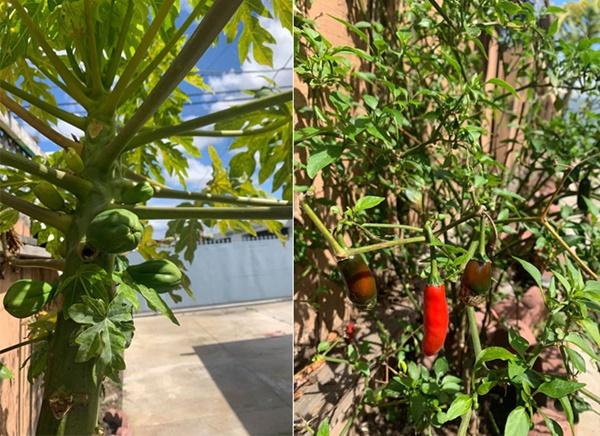 Bỏ đóng phim, sang Mỹ bán hàng online, cuộc sống của Hoàng Anh giờ ra sao?-5