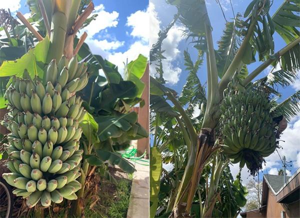 Bỏ đóng phim, sang Mỹ bán hàng online, cuộc sống của Hoàng Anh giờ ra sao?-6